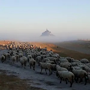 L'hirondelle Сasa de vacaciones